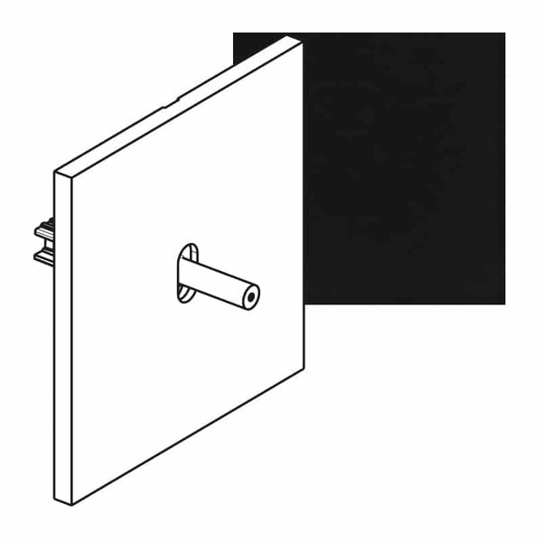 Legrand - ART wissel verlicht 10A - épure Mat zwart - AR67807-E⚡shock